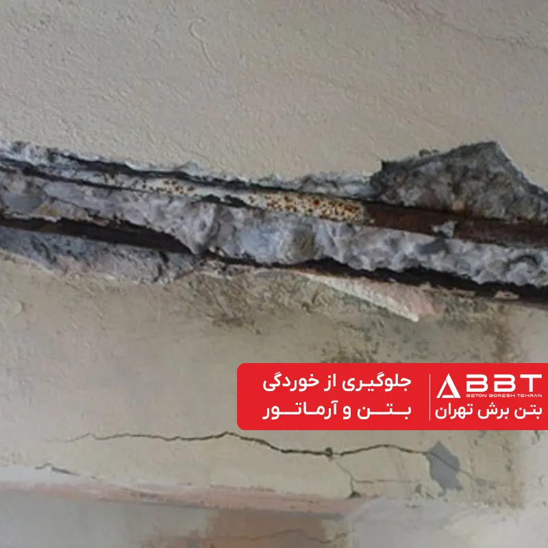 concrete and reinforcement Corrosion